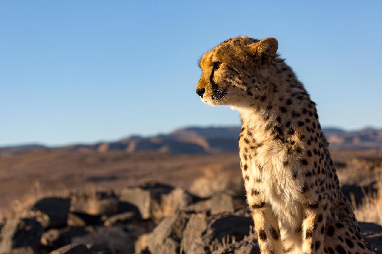 Neuras Wine And Wildlife Estate Hotel Namib-Naukluft National Park Bagian luar foto