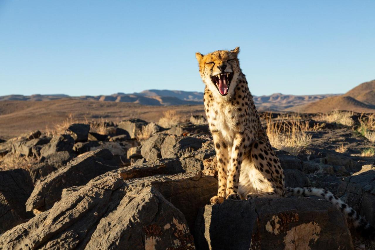 Neuras Wine And Wildlife Estate Hotel Namib-Naukluft National Park Bagian luar foto