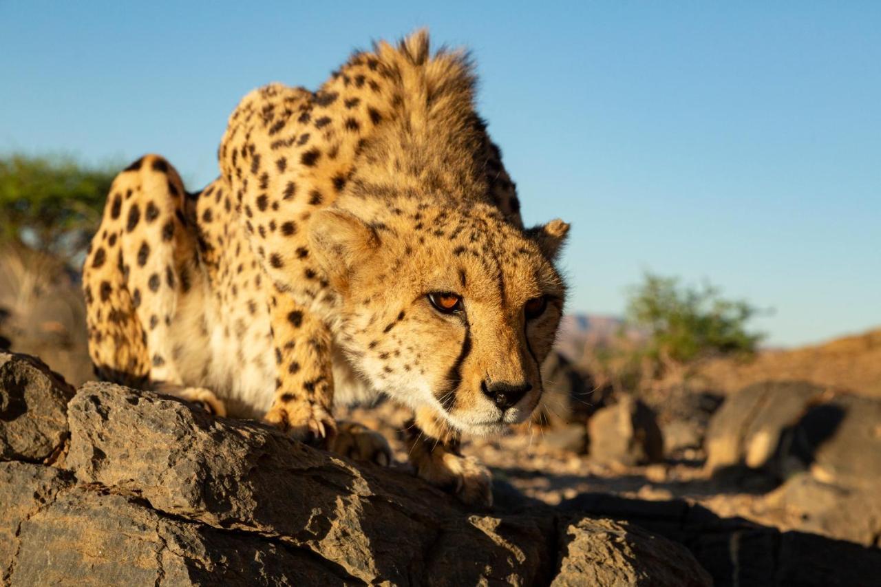 Neuras Wine And Wildlife Estate Hotel Namib-Naukluft National Park Bagian luar foto